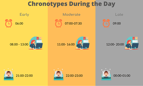 Chronotypes