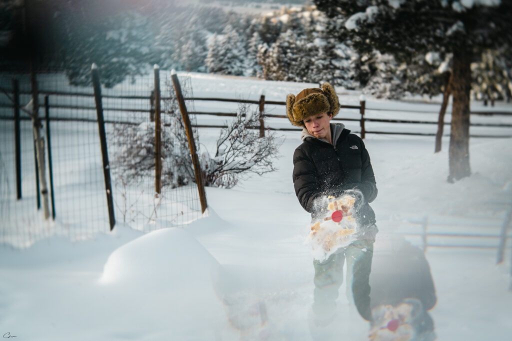 Fruitcake toss